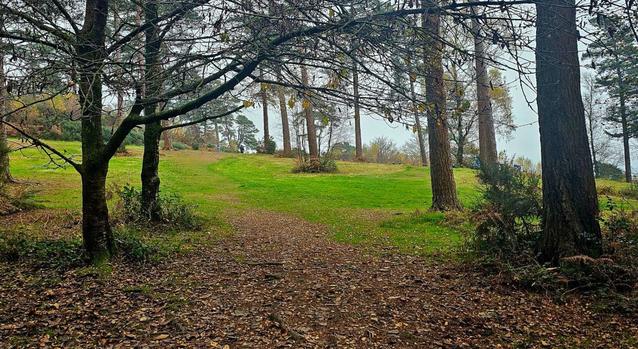 Real Estate Hike at Hampstead | Special Guest Rasa Bagdonaviciute | January 24, 2026