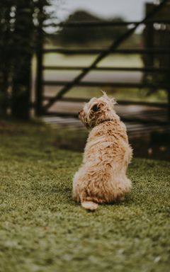 Dreams and Stories - founders hike | April 13, 2024