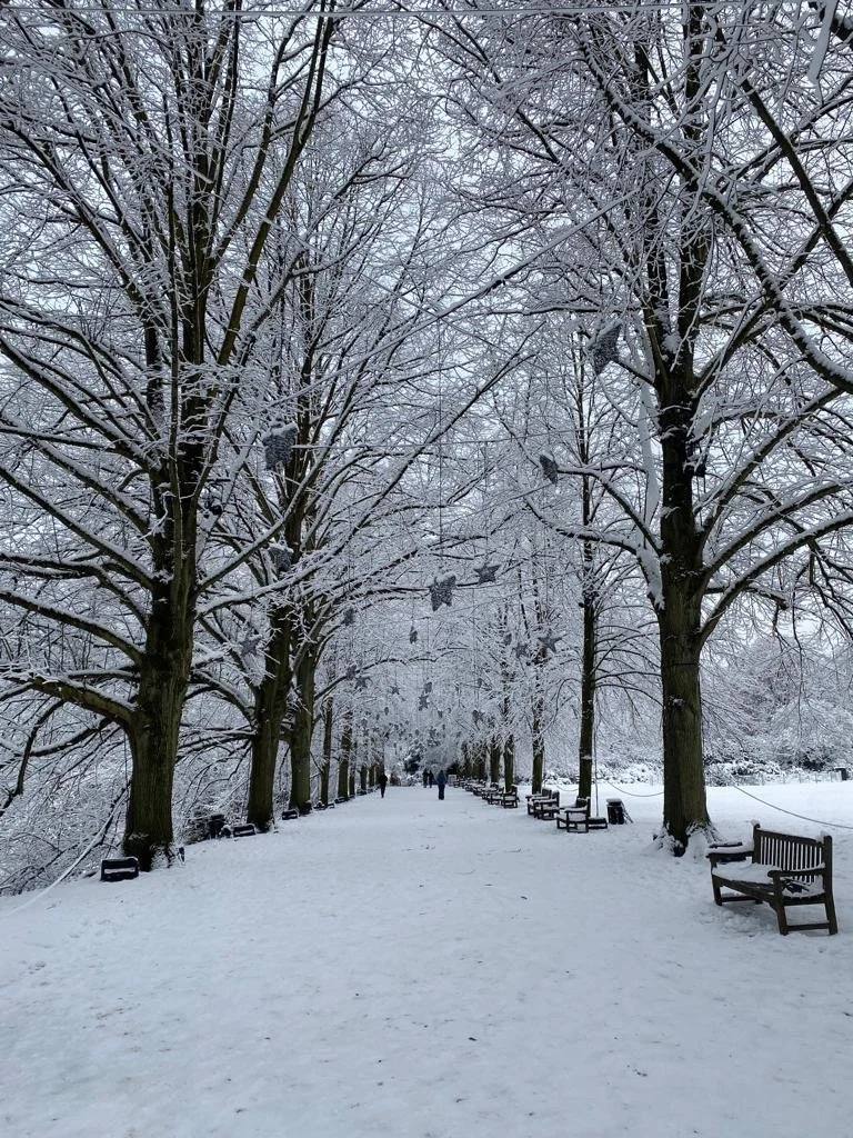 The Tax Savvy Hike | Special Guest Nicole Zalys | January 10, 2026